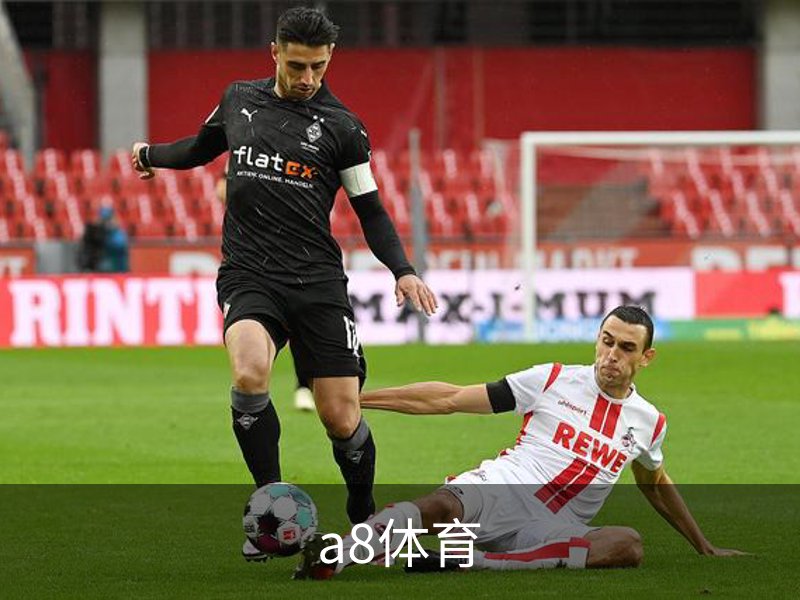 a8体育介绍